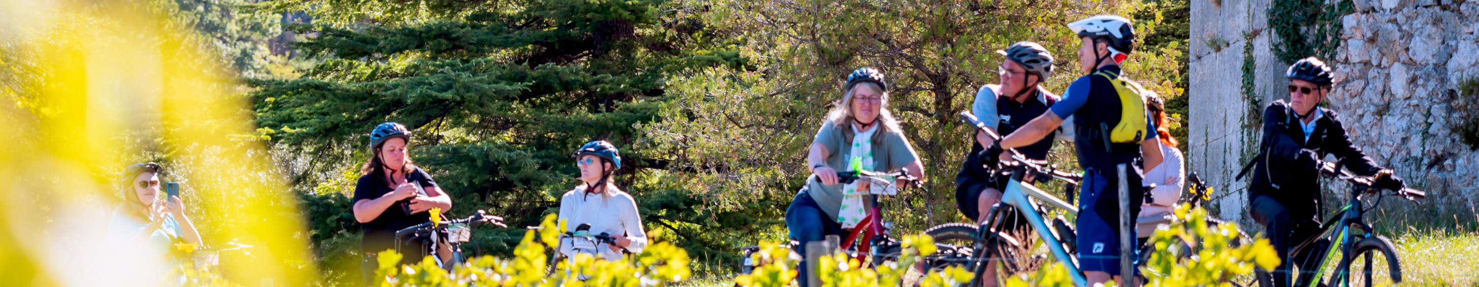 Pont et paysage du Verdon