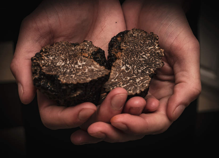 Gorges et rivière du Verdon